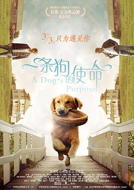 久久不卡免费视频